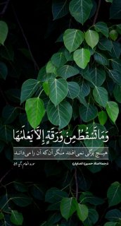 علم خداوند