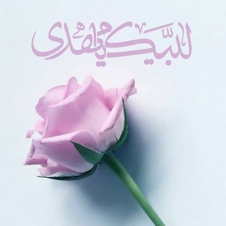 گل نرگس